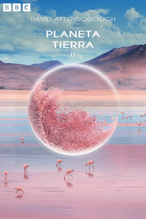Poster of Planeta Tierra 2