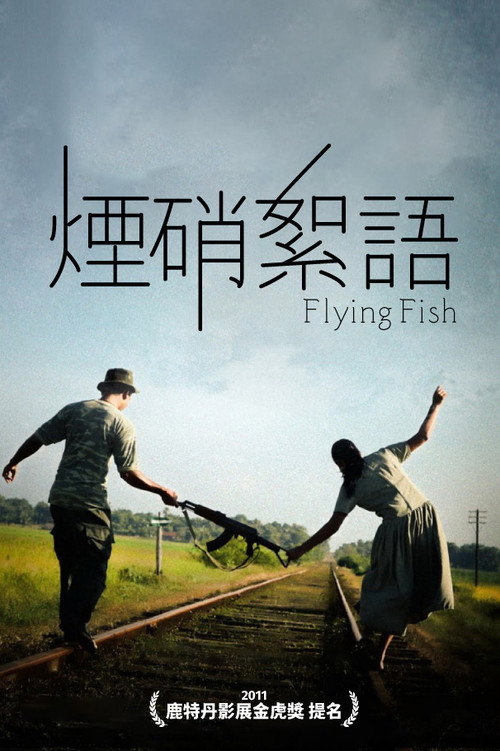 飞鱼电影海报