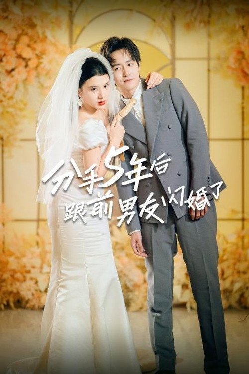 分手5年后跟前男友闪婚了电影海报