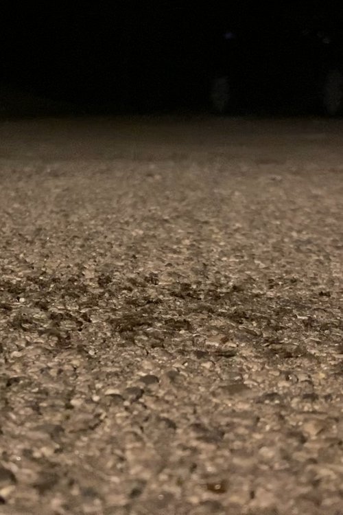 Snails Steadily Stroll the Street 2: Diligent Dirt-Dwellers Dash (Snails Steadily Stroll Lenin Nightcore Remix) Poster