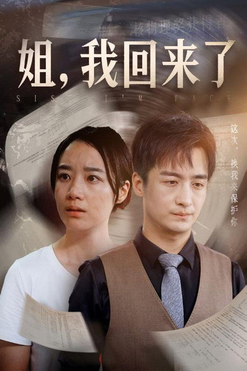 姐，我回来了电影海报