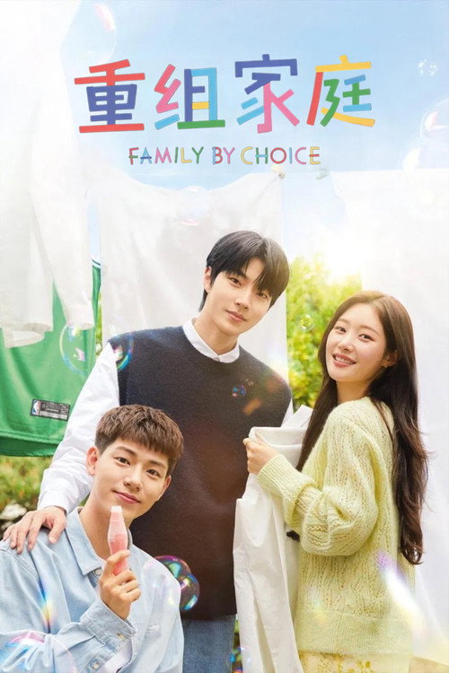 重组家庭电影海报