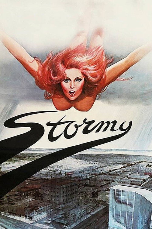 Stormy poster 6