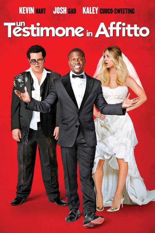Un testimone in affitto (2015) Guarda lo streaming di film completo online