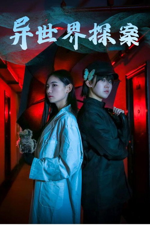 异世界探案电影海报