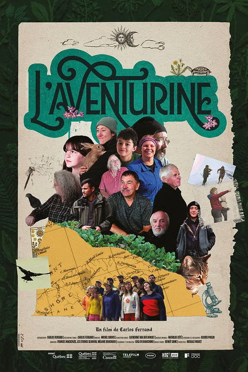 L'aventurine's poster