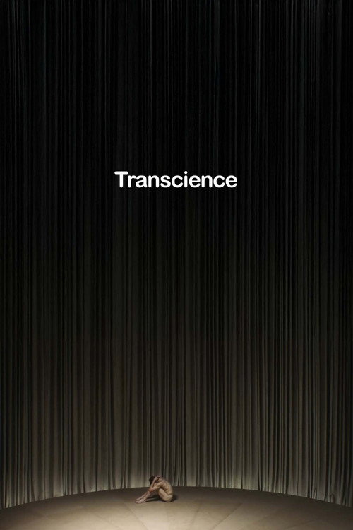 Transience电影海报