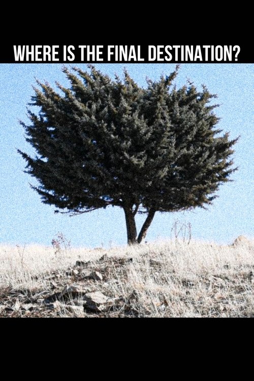 Where is the Final Destination?
