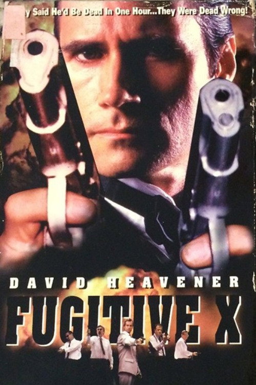 Fugitive X: Innocent Target poster 3