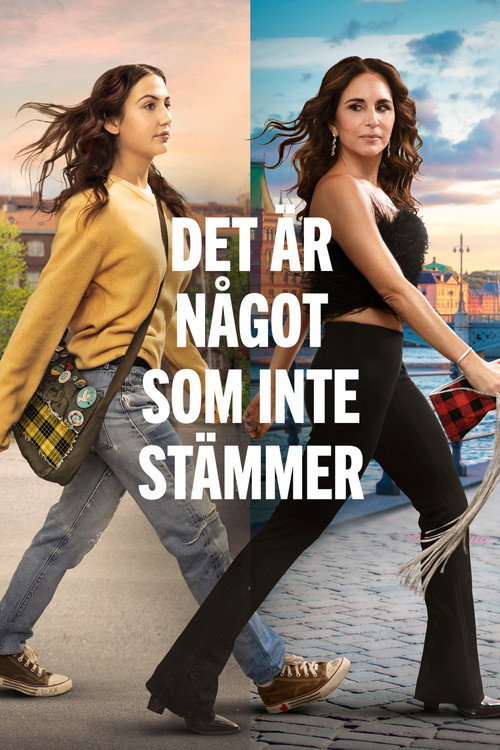 Det &auml;r n&aring;got som inte st&auml;mmer电影海报
