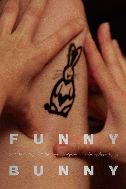 Funny Bunny poster 3