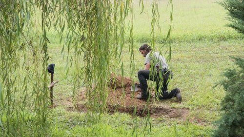 The Walking Dead - Olup Bitenler