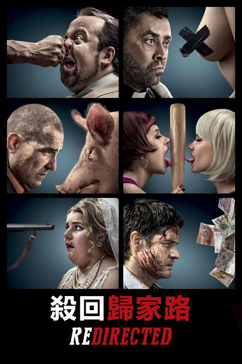 杀回归家路电影海报