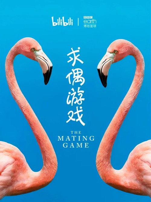 求偶游戏电影海报