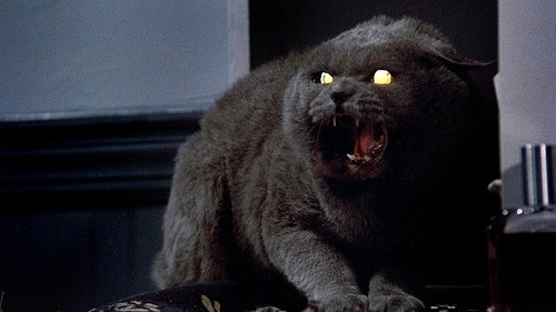 Friedhof der Kuscheltiere (1989)