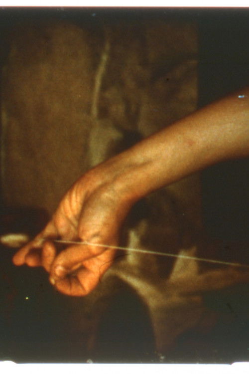 Soldiers and Other Cosmic Objects