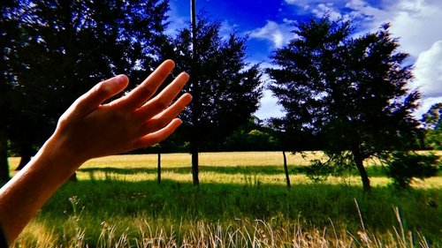 images