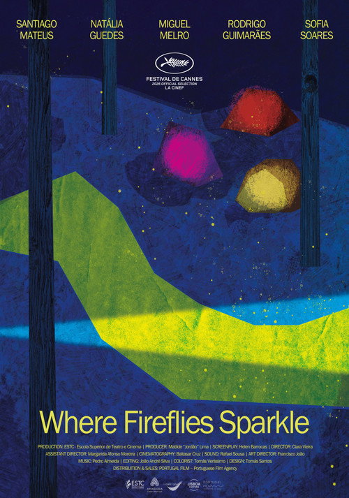 Where Fireflies Sparkle