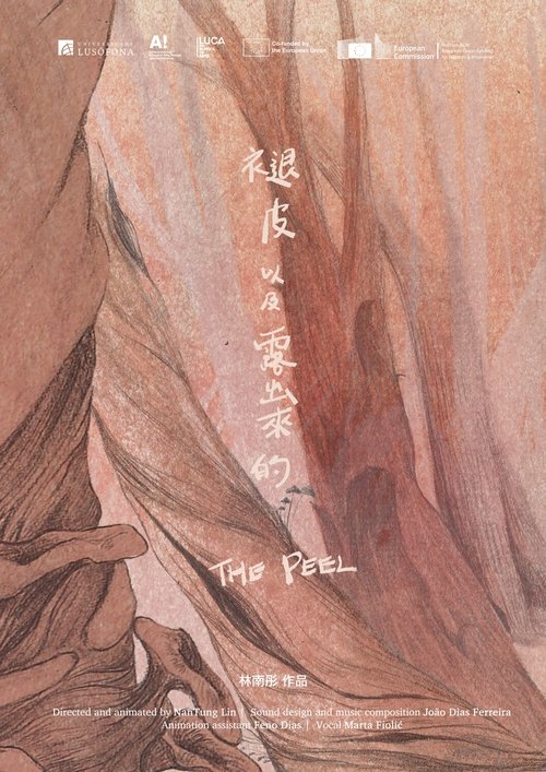 The Peel 褪皮 以及露出來的 poster