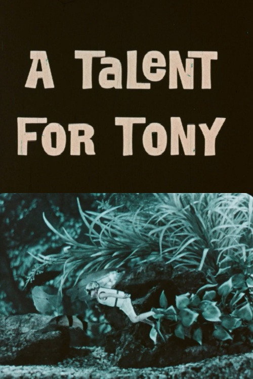 A Talent For Tony Poster