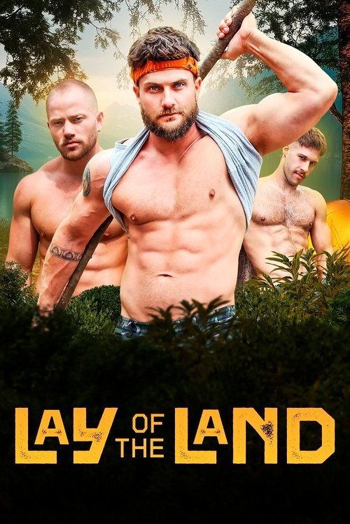 Lay of the Land Poster