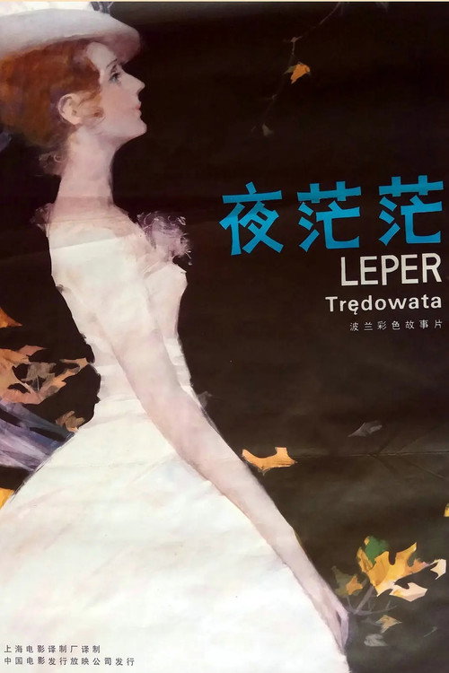 夜茫茫电影海报