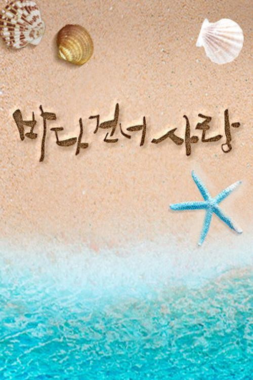 바다 건너 사랑电影海报