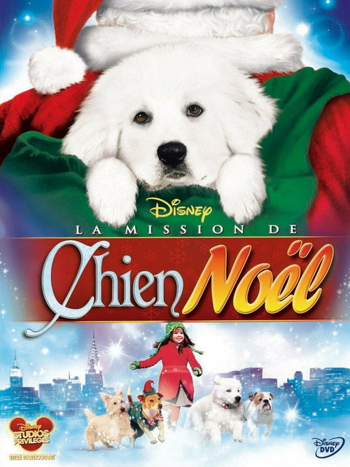 The Search for Santa Paws