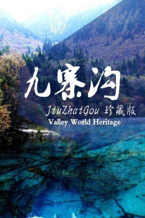 九寨沟电影海报