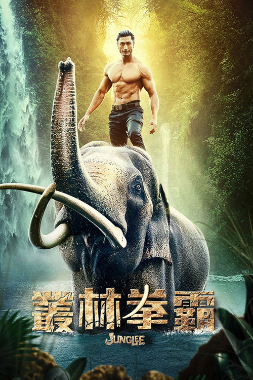 卡拉里电影海报