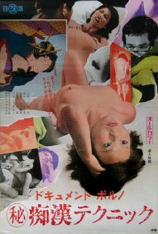 Dokyumento poruno: Maruhi chikan tekunikku