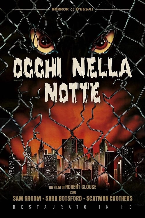 Occhi+nella+notte