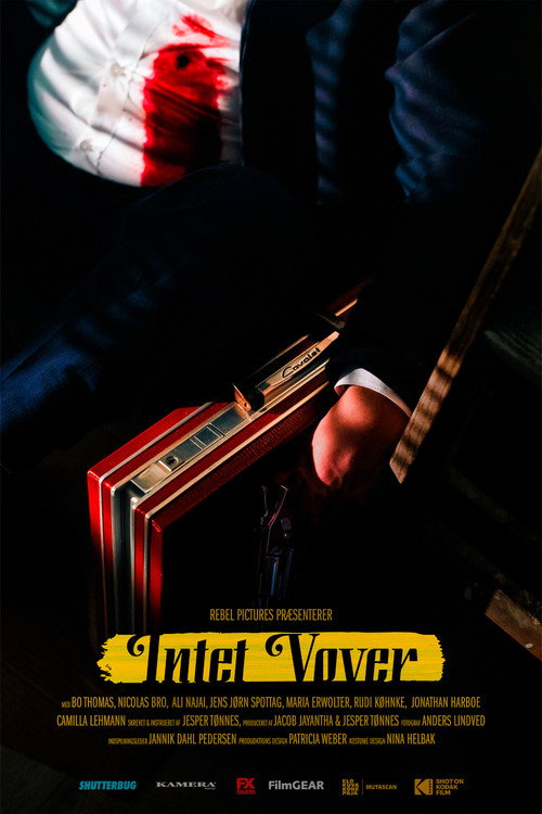 Nothing Ventured poster 3