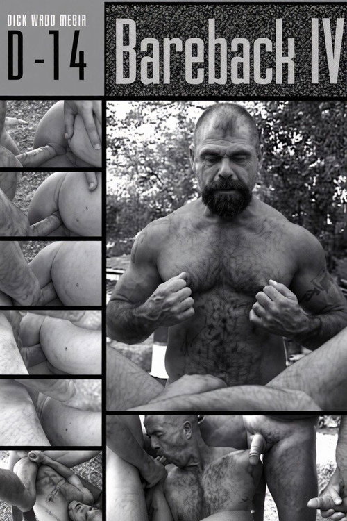 Bareback 4: Huge Poles, Hungry Holes Poster