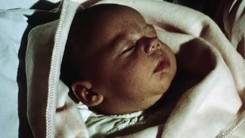 The Valley Has a Baby