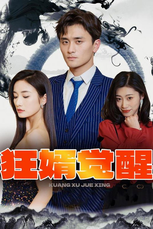 狂婿觉醒电影海报