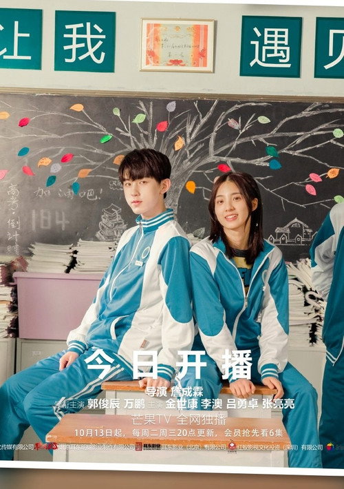 谢谢让我遇见你电影海报