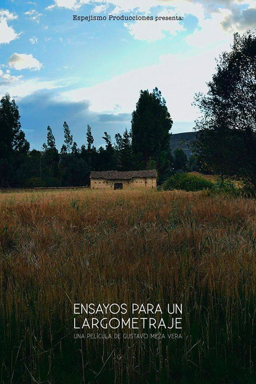 Ensayos para un largometraje电影海报