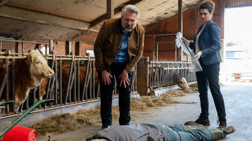 Murder also makes manure