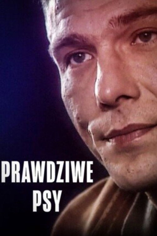 Prawdziwe psy. Krzysiek i Sławek's poster