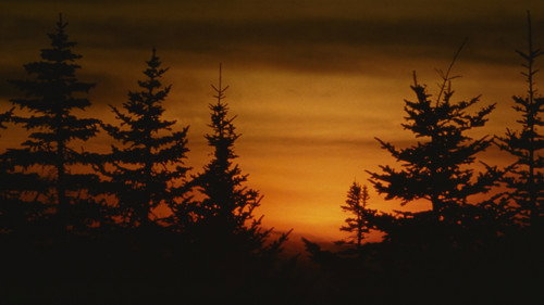 Backdrop