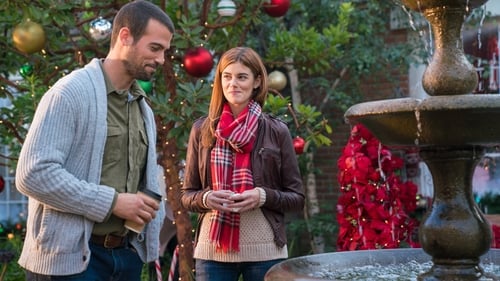 The Trouble with Mistletoe (2017) Watch Full Movie Streaming Online