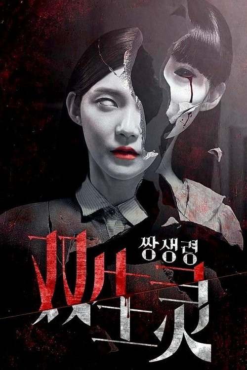 Twin Spirit Poster