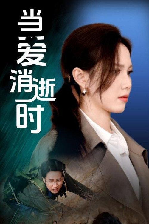当爱消逝时电影海报