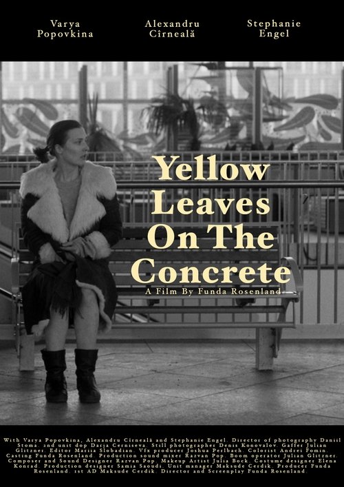 Yellow leaves on the concrete Poster