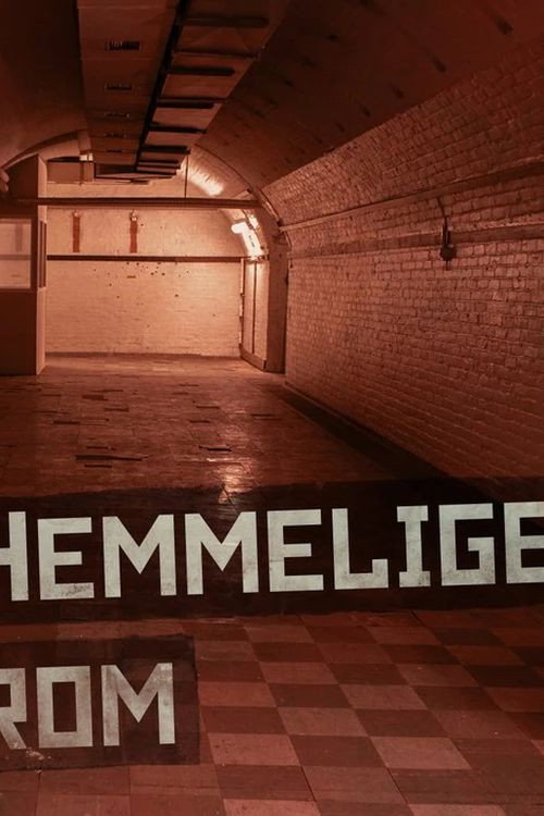 Hemmelige Rom电影海报