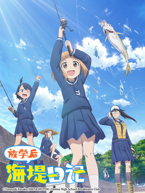 放学后海堤日记电影海报