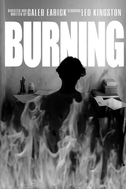 Burning's poster