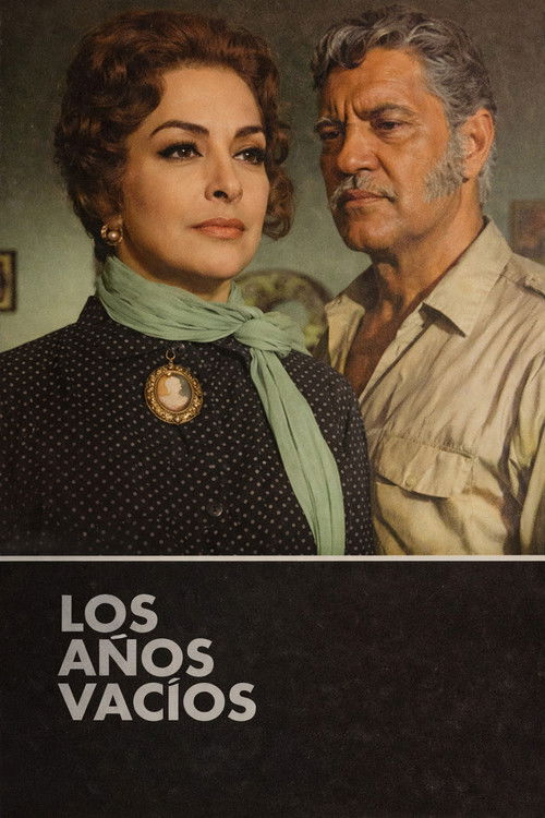 Los años vacios Poster