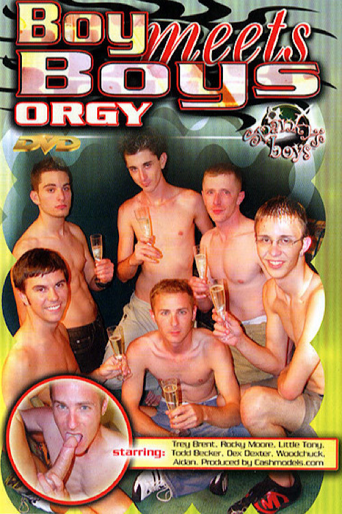 Boy Meets Boys Orgy Poster